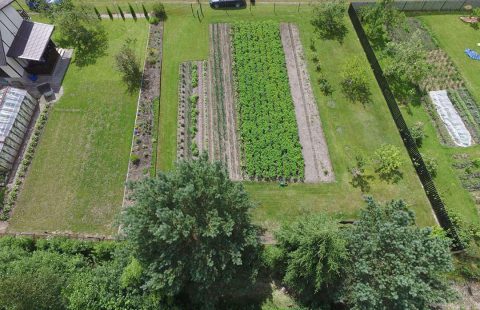 Parduodamas sklypas Panevėžio r. sav., Mitkų k., Poilsio g.