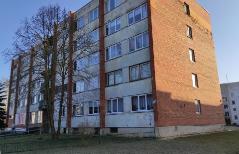 Parduodamas butas Panevėžio r. sav., Liūdynės k., Ramioji g.