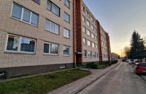 Nuomojamas butas Panevėžio m., Žemaičiai, Žemaičių g.
