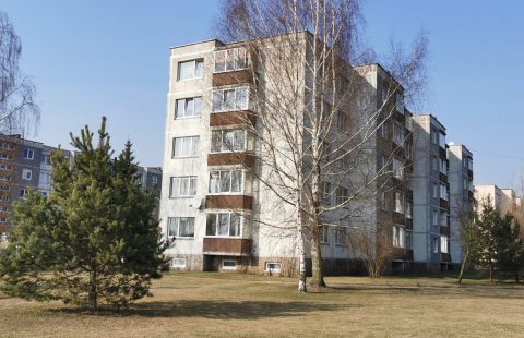 Parduodamas butas Panevėžio m., Molainiai, Molainių g.