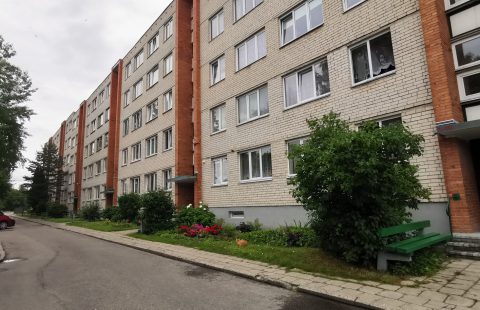 Nuomojamas butas Panevėžio m., Žemaičiai, Žemaičių g.