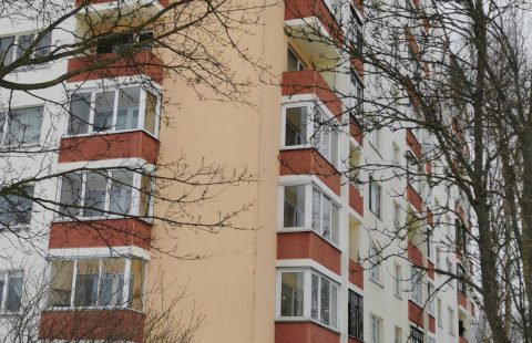 Parduodamas butas Panevėžio m., Klaipėdos, Ateities g.