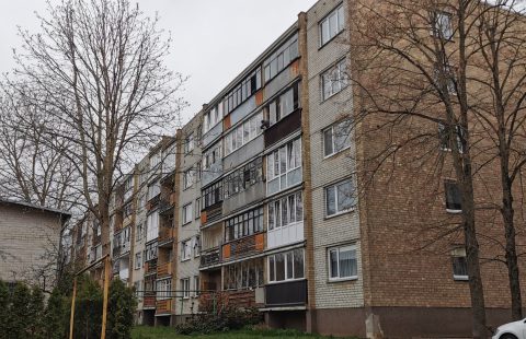 Parduodamas butas Panevėžio m., Žemaičiai, Žemaičių g.